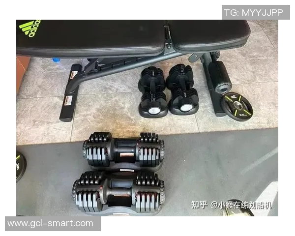 寻找哑铃购买渠道推荐及实用购物指南分享